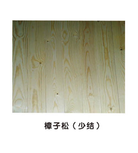 樟子松 少结
