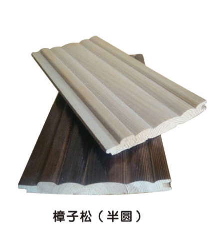 樟子松 半圆