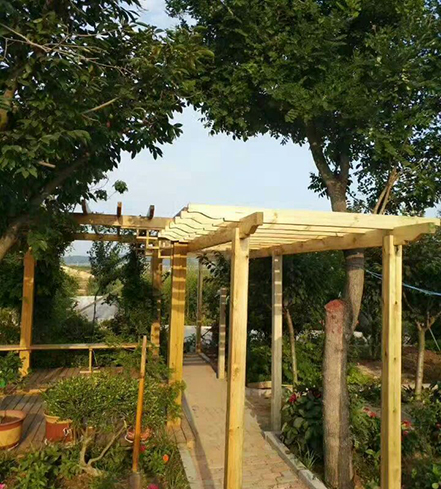 防腐木花架 (3)
