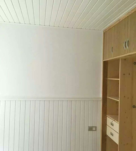 桑拿板 (10)