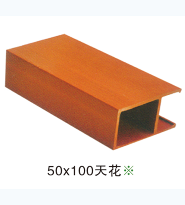50×100天花